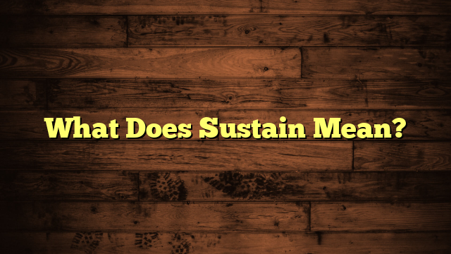 What Does Sustain Mean? Subeimagenes